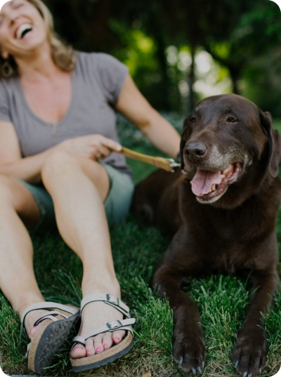 Laughing woman in sandals petting leashed chocolate Labrador retriever.